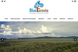 Blue Foresta