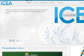 Icea bolivia